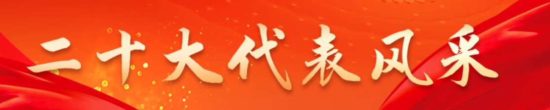 二十大代表風采